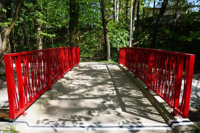 Tak wygląda park w dolinie Ślepiotki w Katowicach