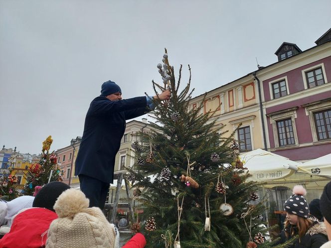  Zamojskie przedszkola i szkoły dekorowały choinki