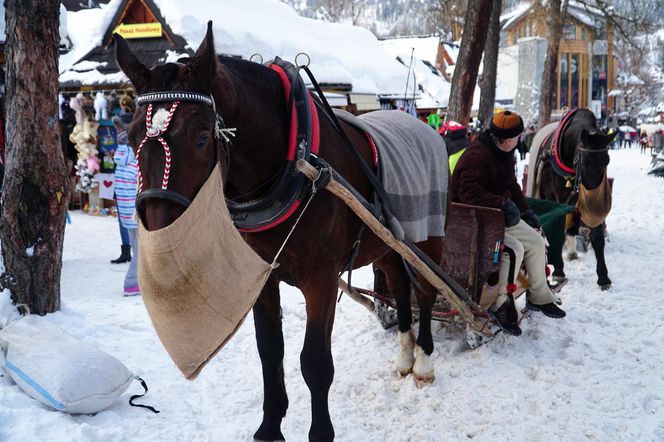  Zakopane zimą