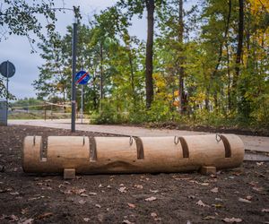 Warszawa. Park Żerański