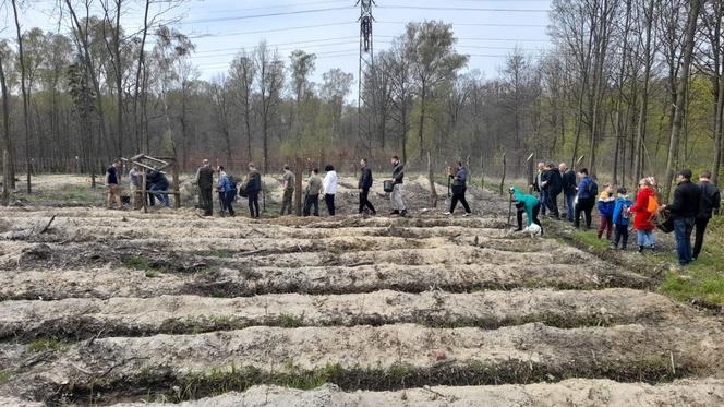 Pomagają więźniom wrócić do świata 