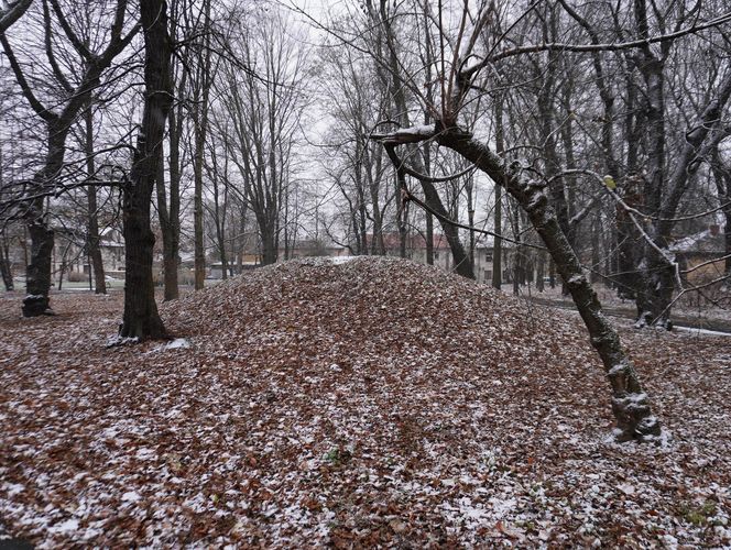 Pierwsze opady śniegu w listopadzie 2024 w dzielnicy Bronowice w Lublinie