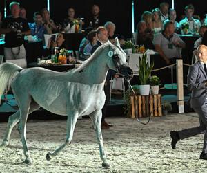 Porażka Pride of Poland 2024? Zyski są zdecydowanie niższe niż rok temu