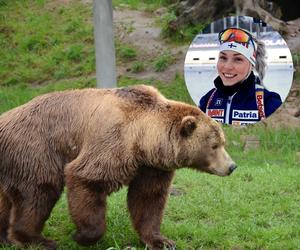 Biathlonistka spotkała się oko w oko z niedźwiedziem!