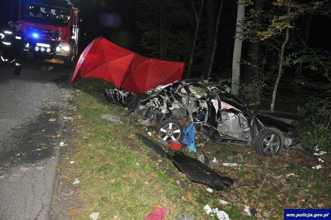 Śmiertelny wypadek pod Działdowem! 25-latka zginęła w rozbitej hondzie [ZDJĘCIA]