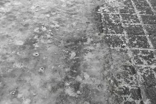 Gołoledź w Warszawie 20.12.2022