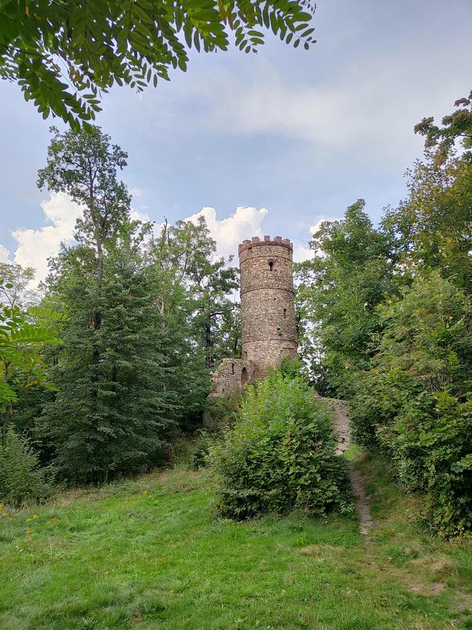Wieża w Bukowcu