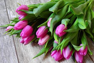 Wrzucam 1 łyżeczkę do wazonu z ciętymi tulipanami. Zastrzyk energii dla kwiatów, dzięki któremu postoją o wiele dłużej. Domowa odżywka do ciętych tulipanów