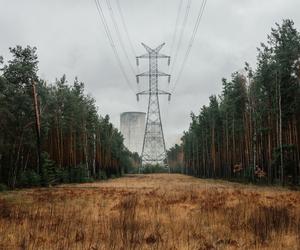 Trouble in Paradise: wenecka wystawa we Wrocławiu