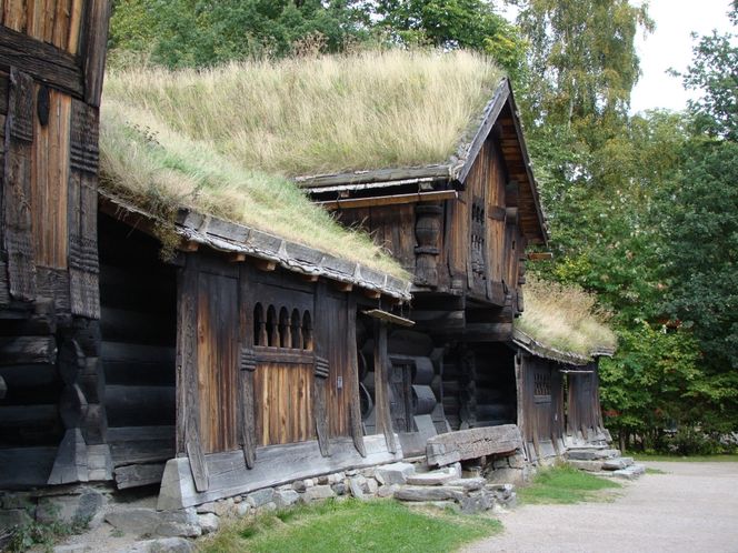 Zielone dachy. Sposób na roślinność w mieście i nie tylko