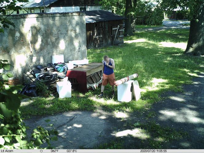 Pabianice. Myśleli, że pozostaną bezkarni. Straż miejska postawiła fotopułapkę