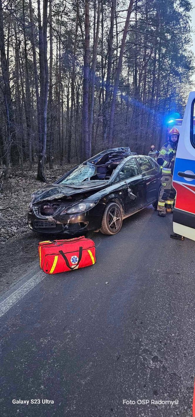 Auto zderzyło się z łosiem