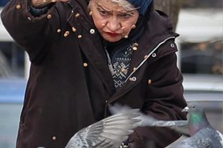 Anna Chodakowska. Gwiazda Labiryntu wśród ptaków