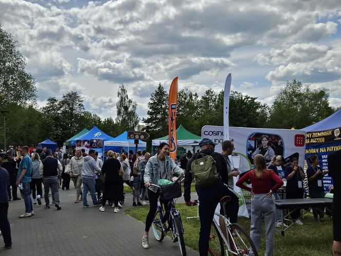 Festiwal Przyjaciół Zwierząt w Olsztynie. Park Centralny opanowały radosne pieski
