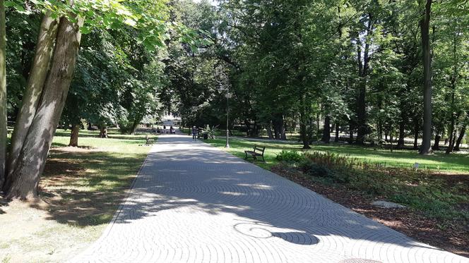 Lato w Parku Strzeleckim w Tarnowie 