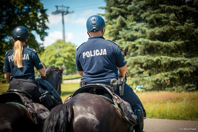 Policyjne wierzchowce od lat wspierają śląską policję