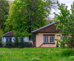 Osiedle Przyjaźń w Warszawie - zobacz zdjęcia drewnianej enklawy wśród zieleni
