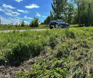 Listonosz Leszek wracał do żony z bukietem róż. Tragiczny wypadek wszystko przekreślił