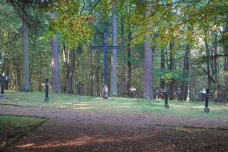 Zapomniany cmentarz wojskowy położony w środku lasu. Pochowano tam około 800 niemieckich żołnierzy [ZDJĘCIA]