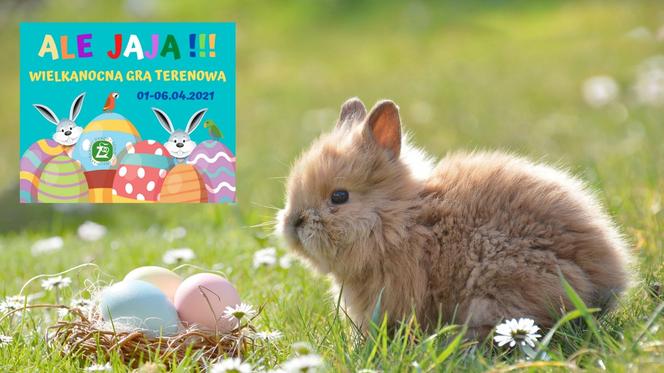 Wielkanocna zabaw w warszawskim ZOO! Odszukuj ,,jajeczne'' zagadki i zdobądź niespodziankę