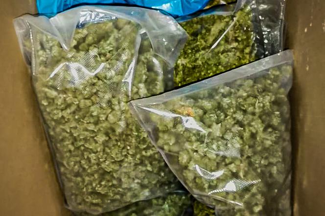 Ponad 17 kg narkotyków przejęła kujawsko-pomorska policja