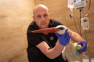 Strzelali do Rogera jak do kaczki [GALERIA]