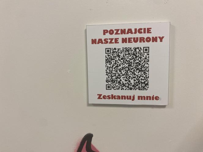 Magiczny świat neuronów