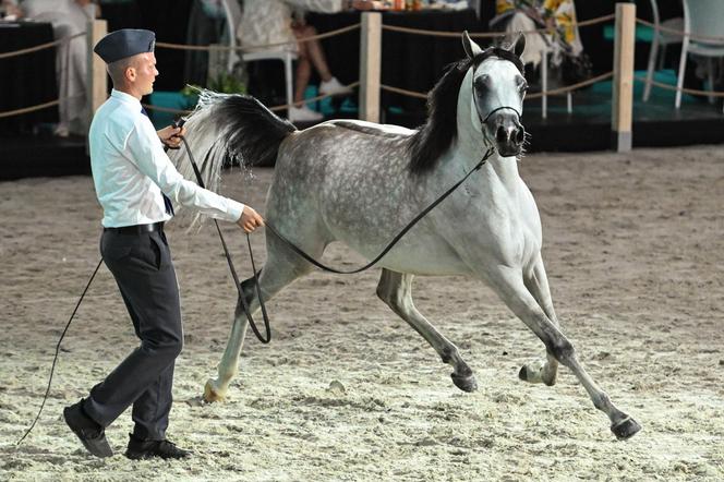 Porażka Pride of Poland 2024? Zyski są zdecydowanie niższe niż rok temu