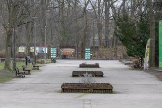 Zatrzymanie Ewy Z. - dyrektorki zoo w Poznaniu