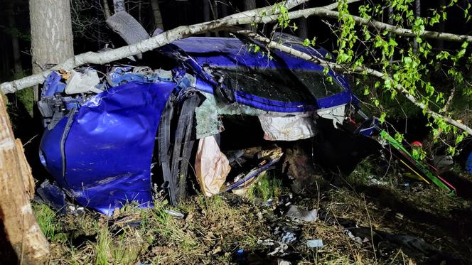 Dramatyczny wypadek w Kobiórze. 32-latka uderzyła w łosia, potem w drzewo