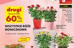 Dzień Matki w Biedronce