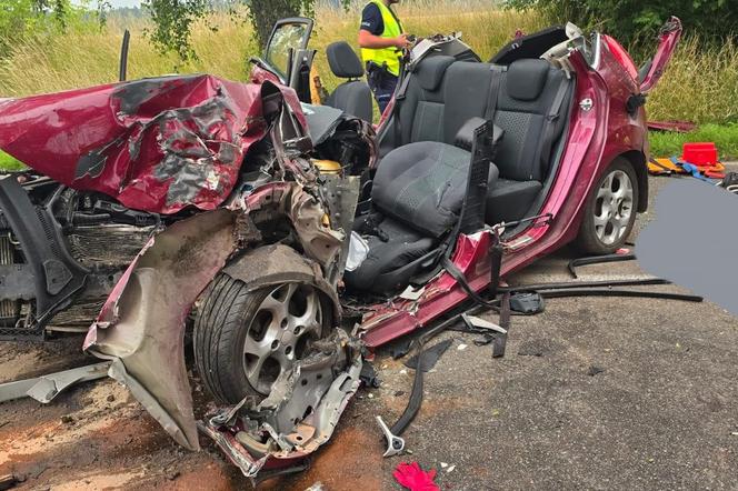 Makabryczny wypadek pod Szczecinem. Rozpędzone auto uderzyło w drzewo. Jedna osoba nie żyje, dwie są ranne