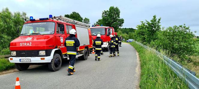 Wypadek w powiecie strzelińskim: Volkswagen wypadł z drogi i wpadł do rzeki