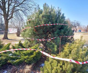 Protest Starachowice. Dość dzikiej deweloperce 