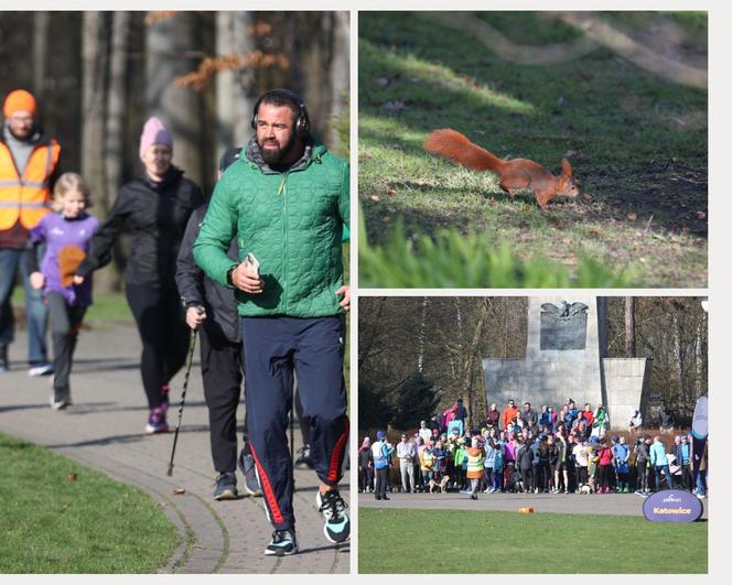 Parkrun w Katowicach znów przyciągnął tłumy