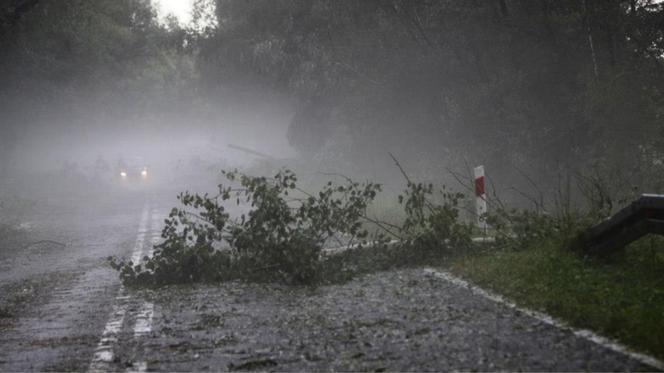 Nawałnica przeszła przez Tleń! Potężna ulewa zmierza w stronę Bydgoszczy [ZDJĘCIA]