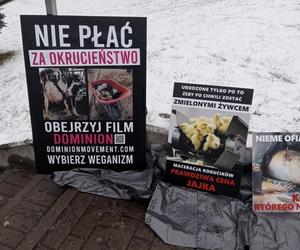 W Grudziądzu manifestowali aktywiści na rzecz zwierząt