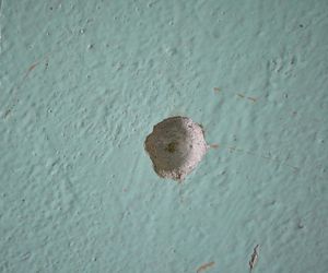 Pięć lat od tragicznej strzelaniny pod Płońskiem. Zabił byłą żonę, ranił jej kochanka i strzelił sobie w głowę