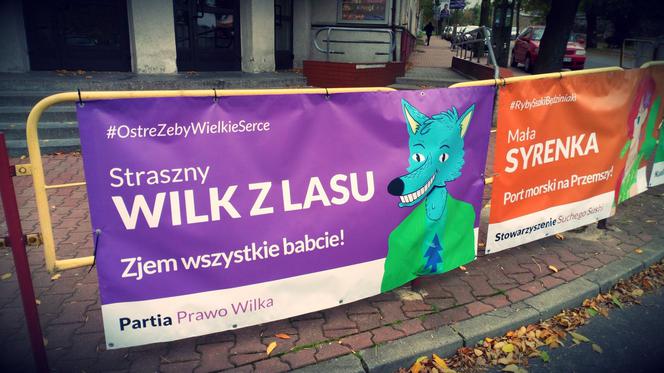 Wilk z lasu: Zjem wszystkie babcie!