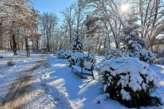 Zimowy spacer w Parku 1000-lecia w Lesznie