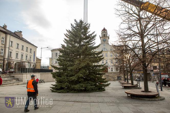 Gorlice: Na rynku już stoi choinka. Jest piękna. MUSISZ ją zobaczyć