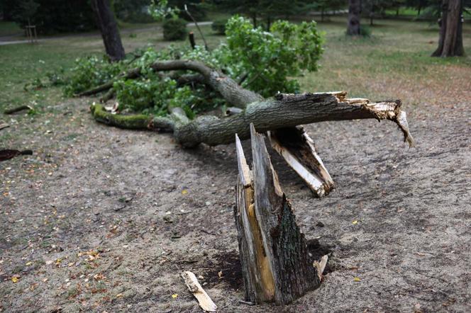 Park wilanowski zamknięty po burzy w Warszawie