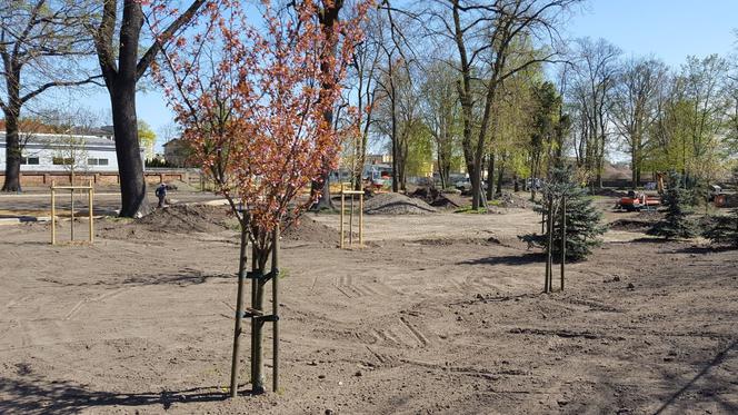 Od dziś otwarte lasy i parki. Ale parki Heermanna i Jonstona wciąż ogrodzone