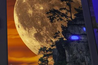 6 milionów za zdjęcie