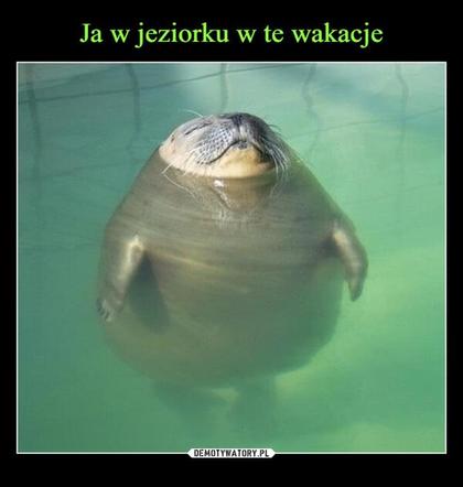 Zakończenie roku szkolnego 2022 - MEMY