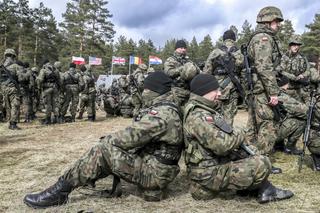 Polska w NATO