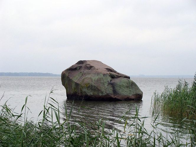 Głaz narzutowy w Kamieniu Pomorskim w 2011 roku