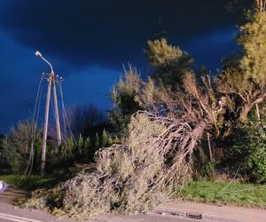 Skutki wichury, która przeszła na Bielskiem-Białą i okolicą