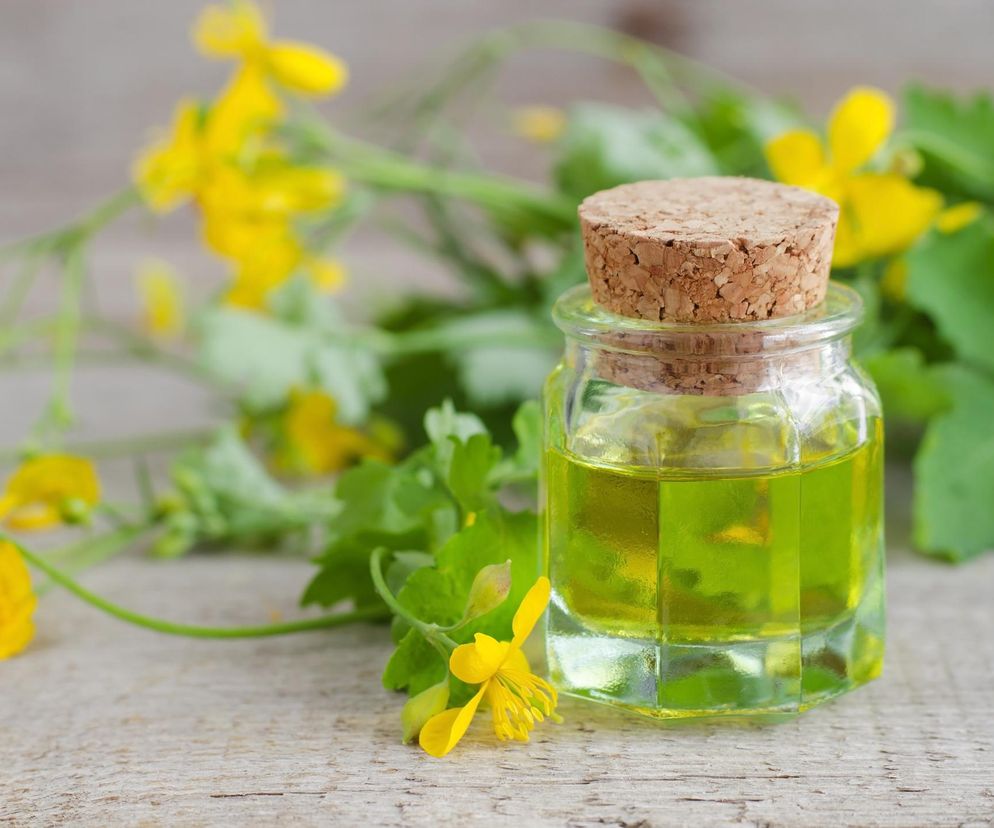 Ludzie myślą, że to chwast, a działa antyrakowo. Cudo na kurzajki, trądzik i wypryski