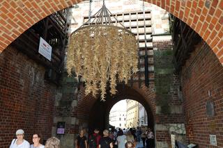 W Lublinie trwa Re:tradycja - Jarmark Jagielloński 2024